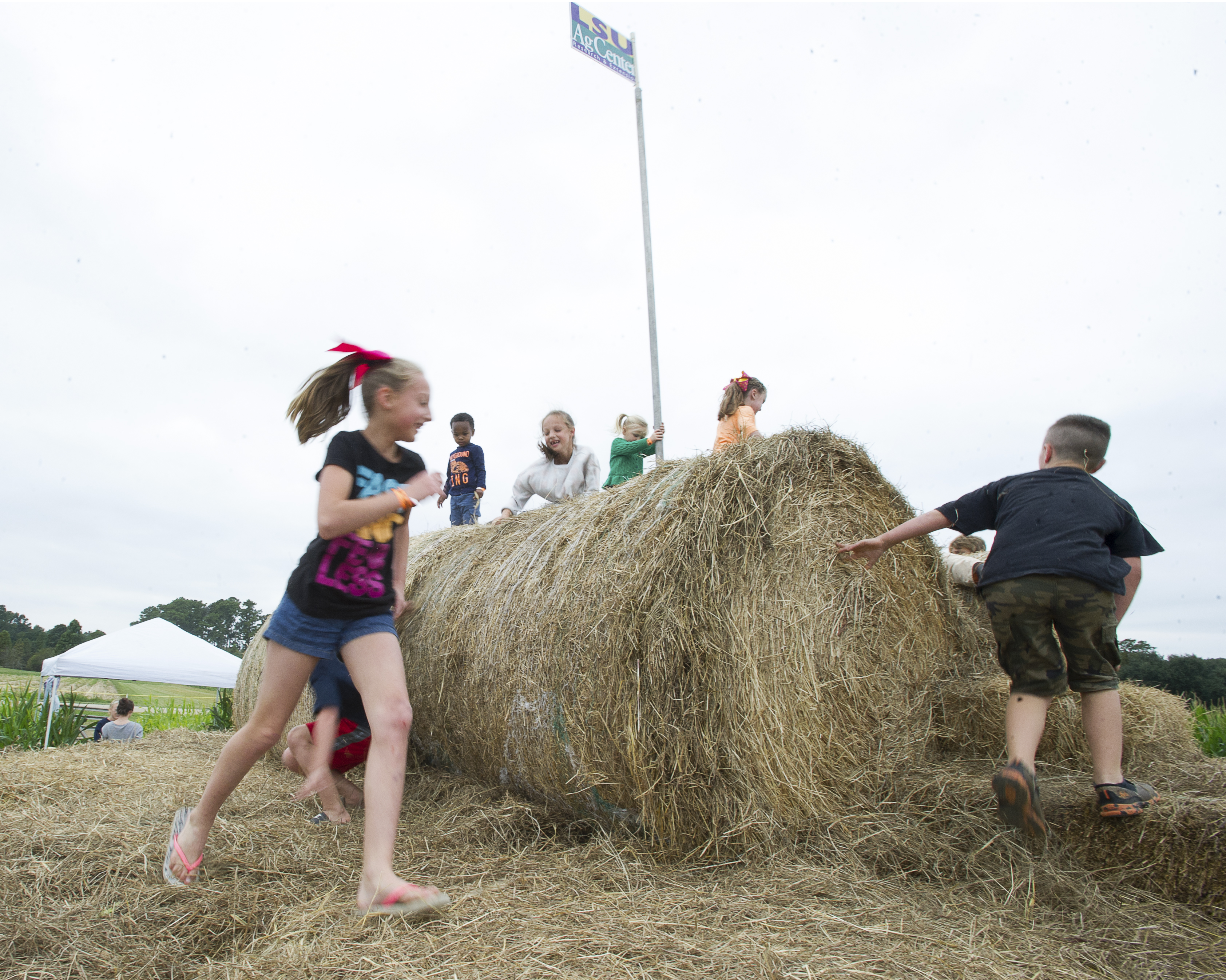 Corn/hay maze activities set for October at Botanic Gardens at Burden 